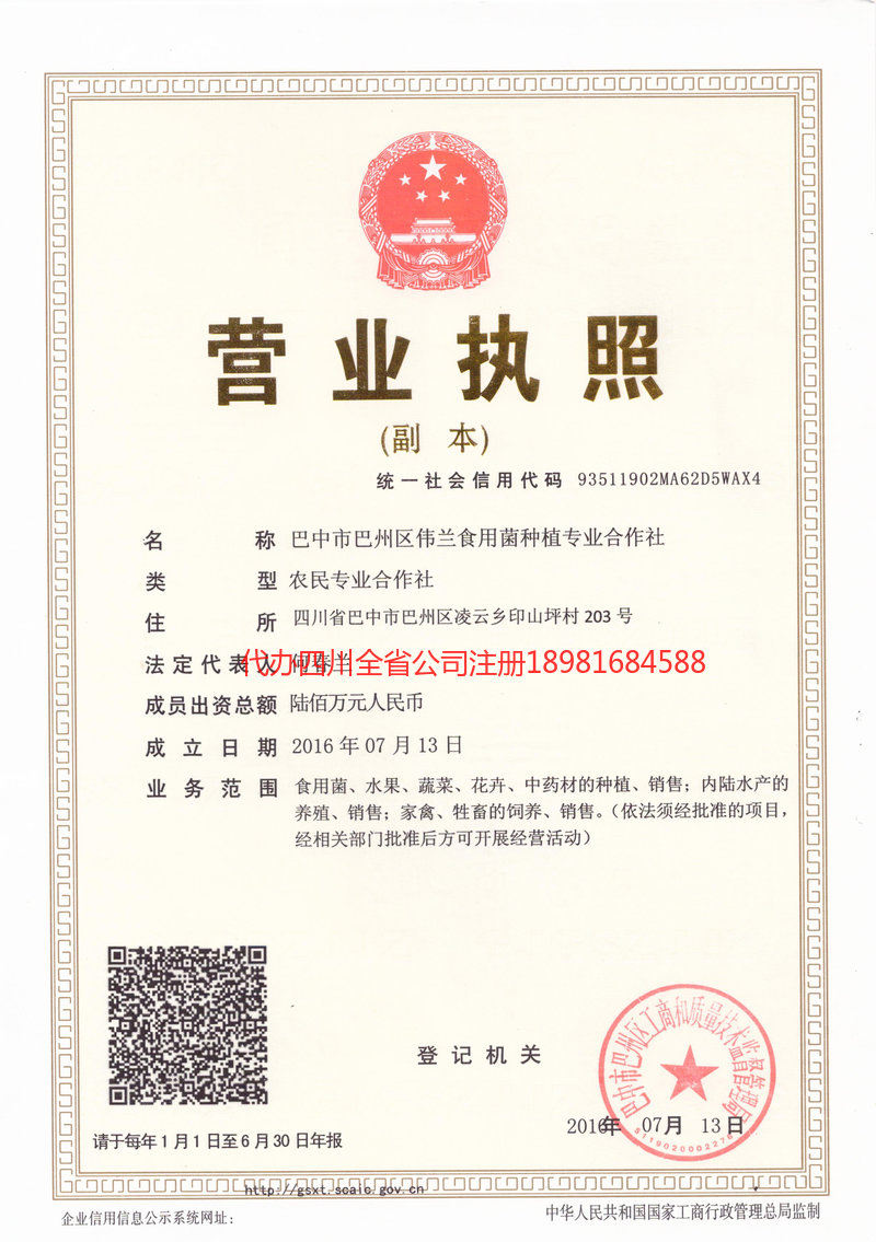 高邮高邮伟兰食用菌种植专业合作社